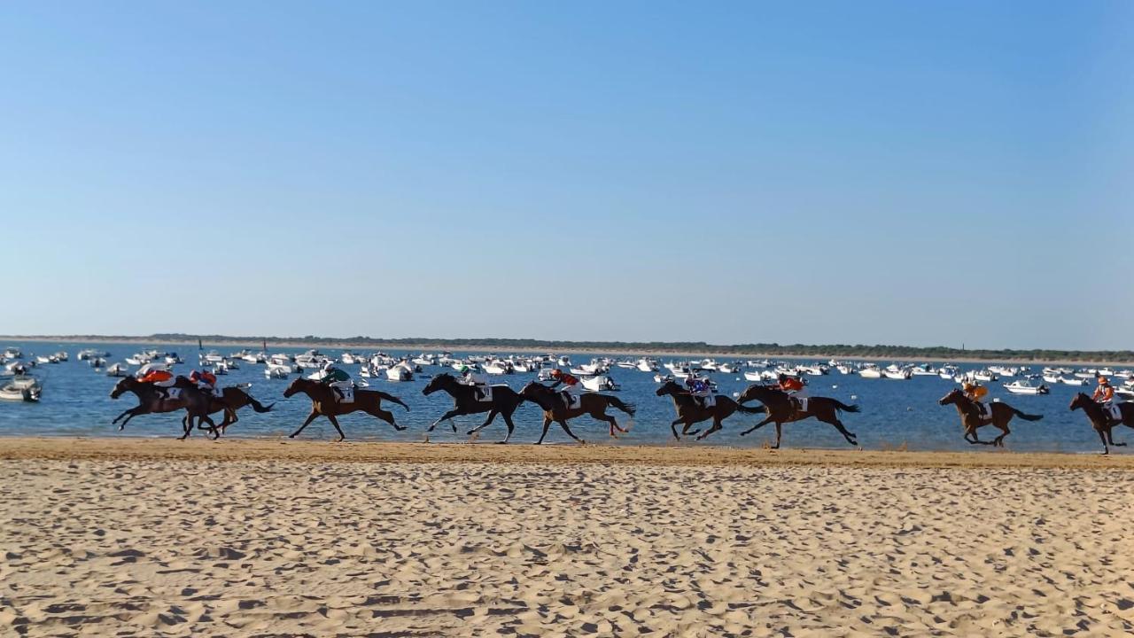 Moderno Apartamento Junto A La Playa Sanlúcar de Barrameda Dış mekan fotoğraf