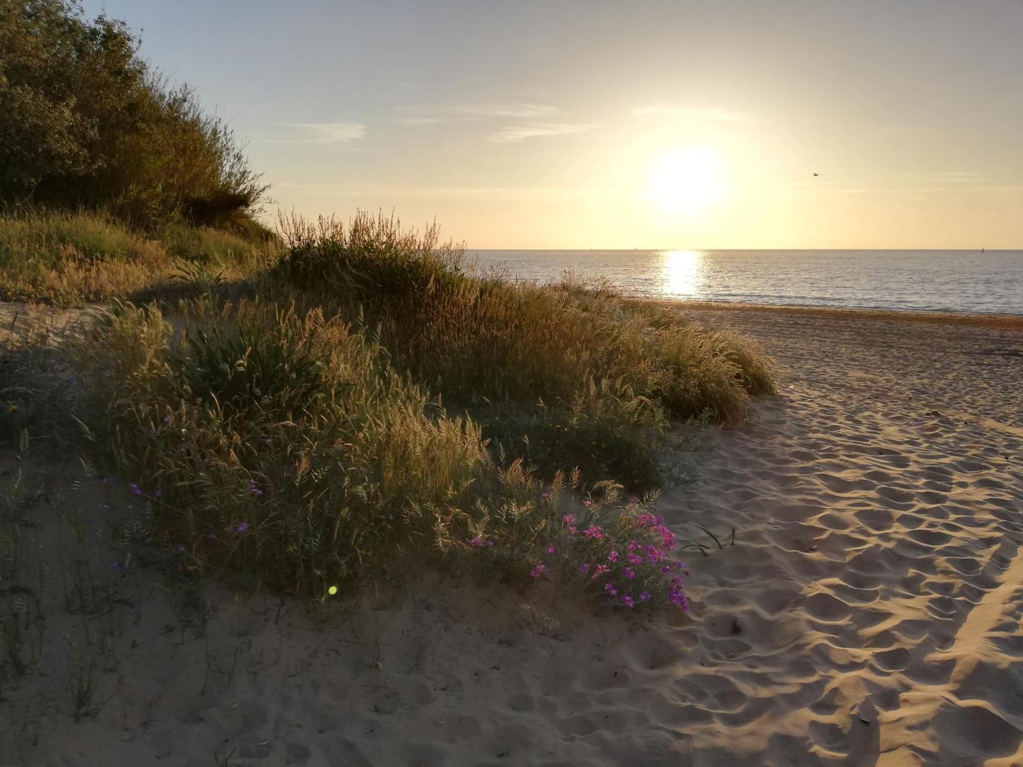 Moderno Apartamento Junto A La Playa Sanlúcar de Barrameda Dış mekan fotoğraf